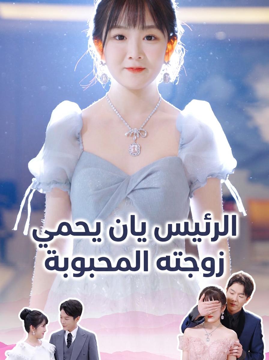 زوجة الرئيس التنفيذي السرية