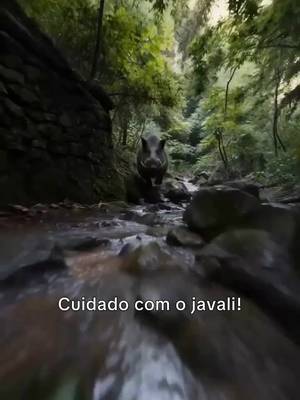 Aliado ao Rei Javali