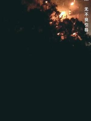 沈黙の総代