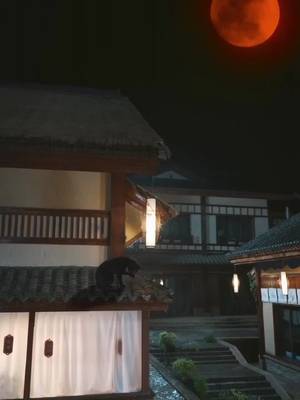 神崎商店の神隠し