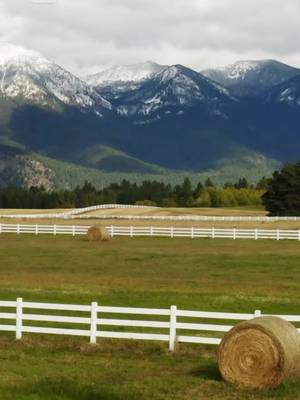 Yellowstone: Raja Montana