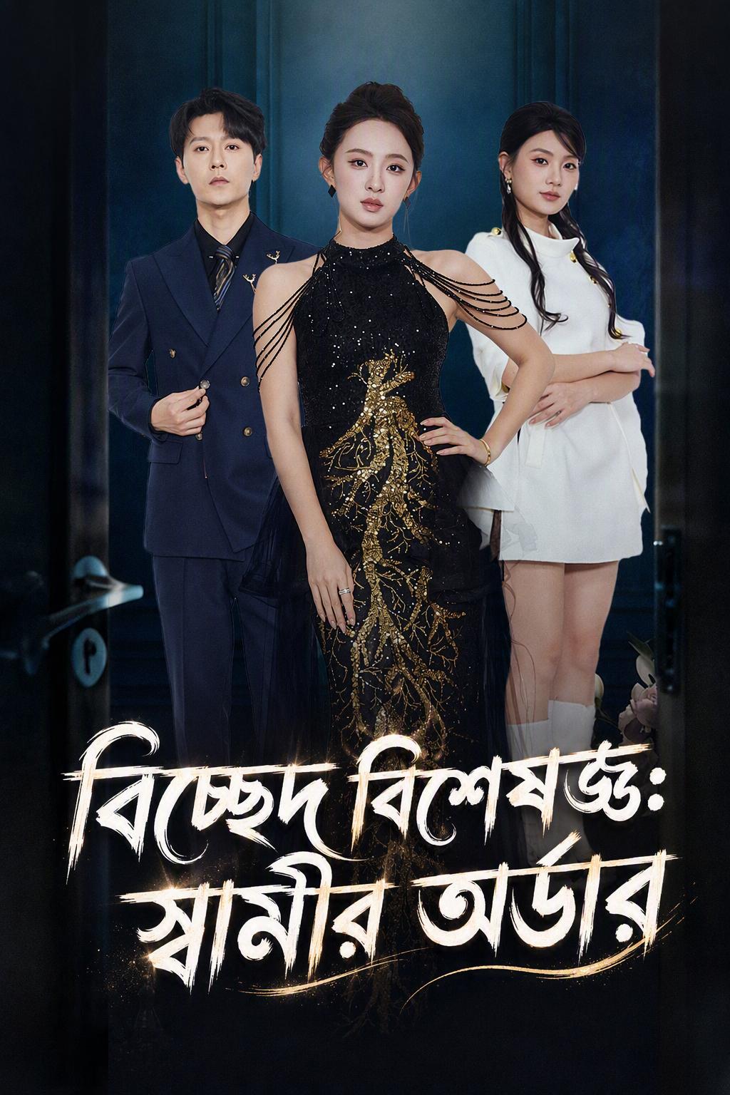 আমার ডিভোর্সের জন্য ভাড়াটে