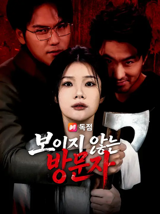보이지 않는 방문자