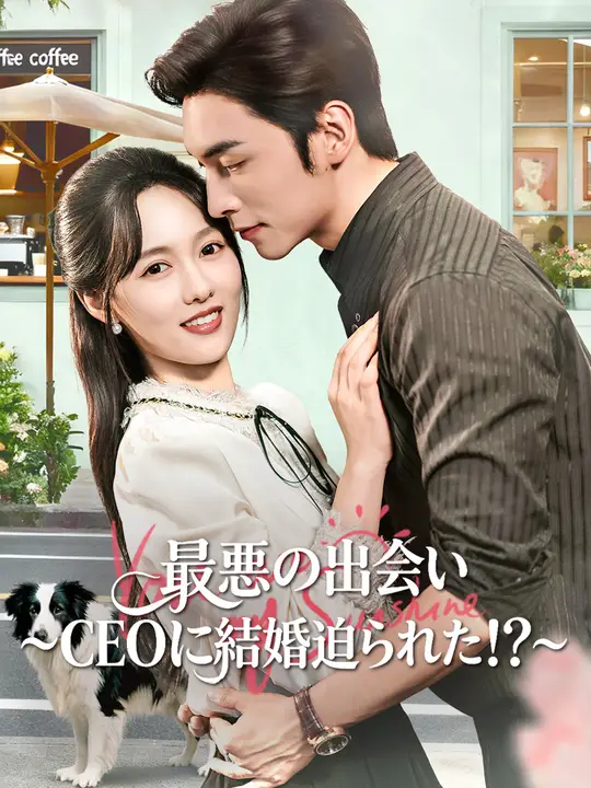 最悪の出会い～CEOに結婚迫られた！？～