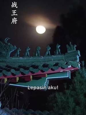 棄妃帶娃回京，冠絕京城