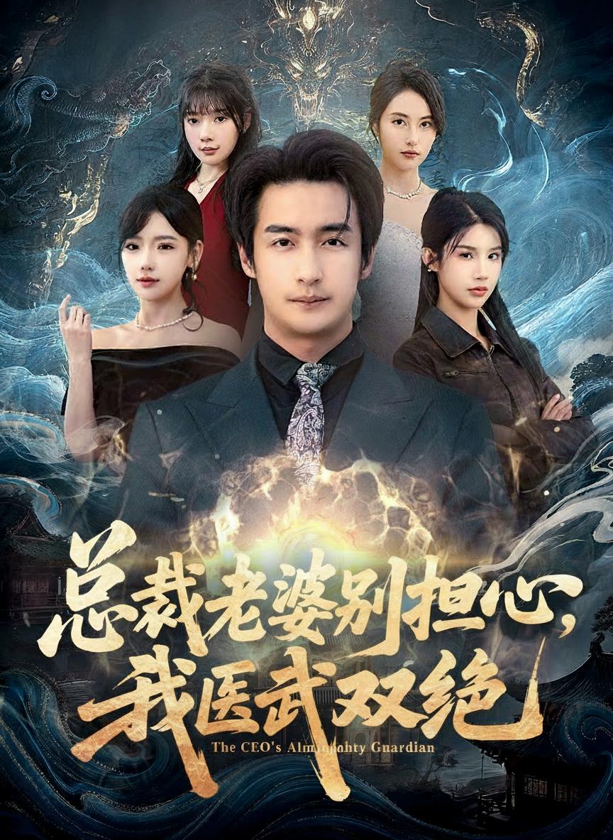 總裁老婆別擔心，我醫武雙絕
