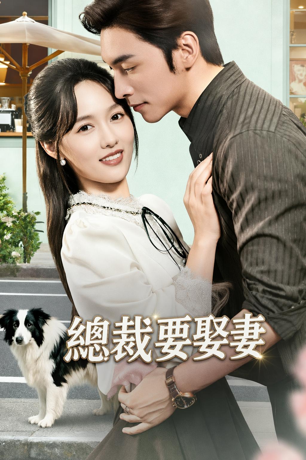 總裁要娶妻