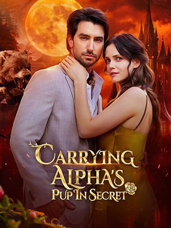 Carrying Alpha's Pup in Secret